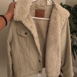 Levi Furry inside jacket. Cordoroy outside